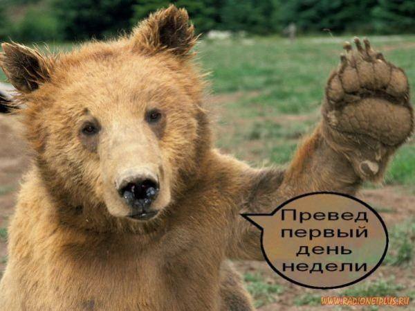VFL.RU -  