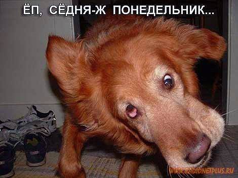 VFL.RU -  