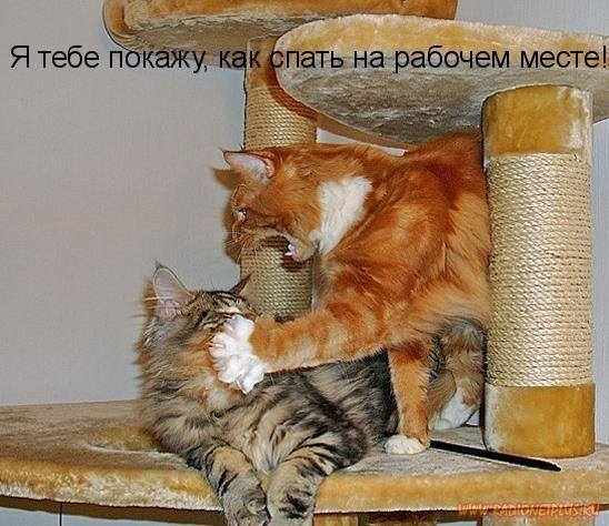 VFL.RU -  