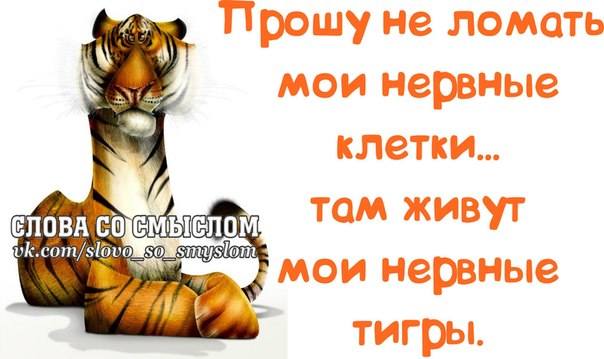 VFL.RU -  
