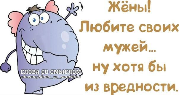VFL.RU -  