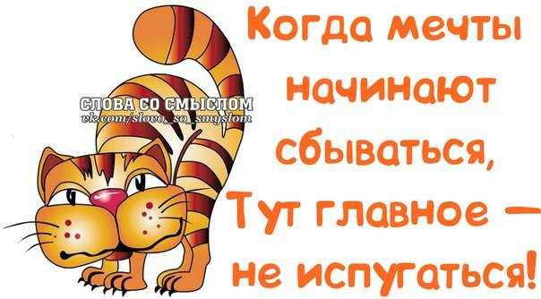 VFL.RU -  