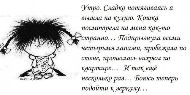 VFL.RU -  