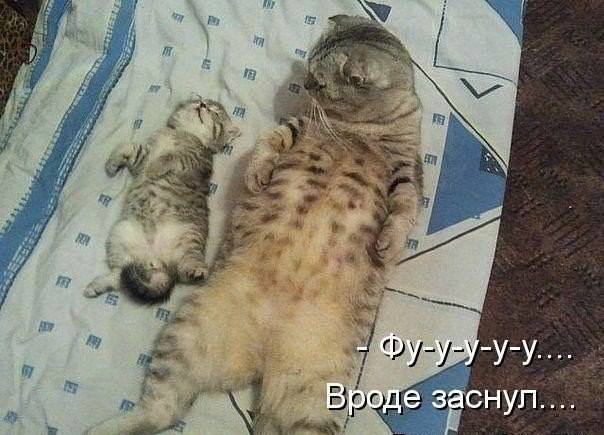 VFL.RU -  