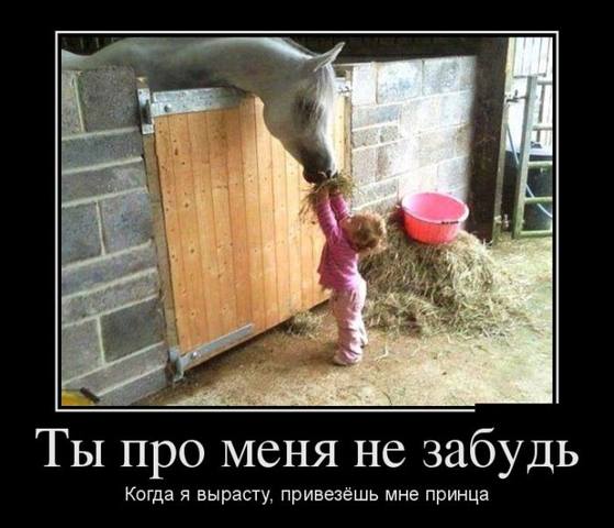 VFL.RU -  