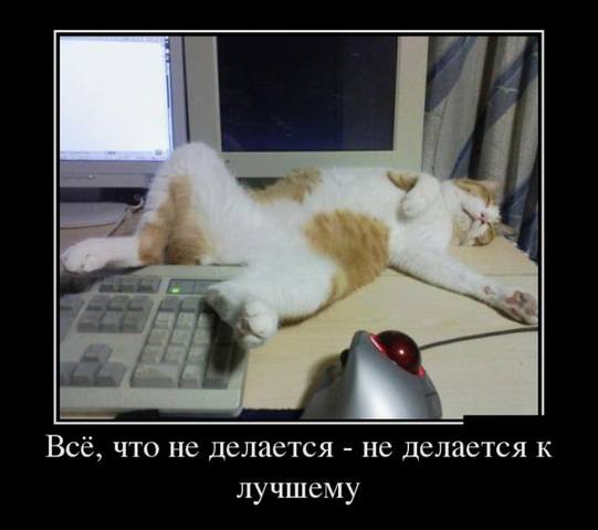 VFL.RU -  