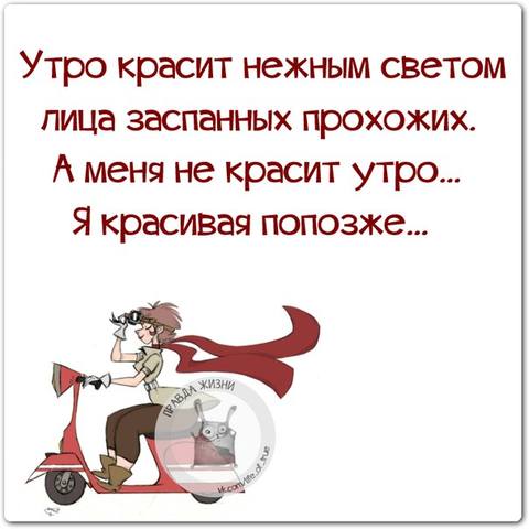 VFL.RU -  