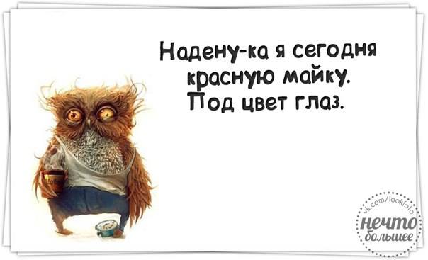 VFL.RU -  