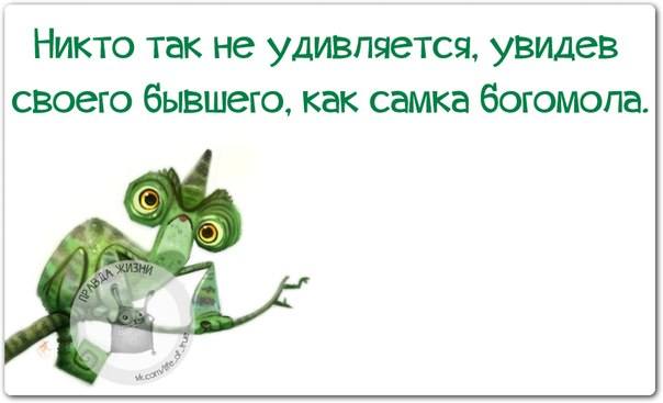 VFL.RU -  