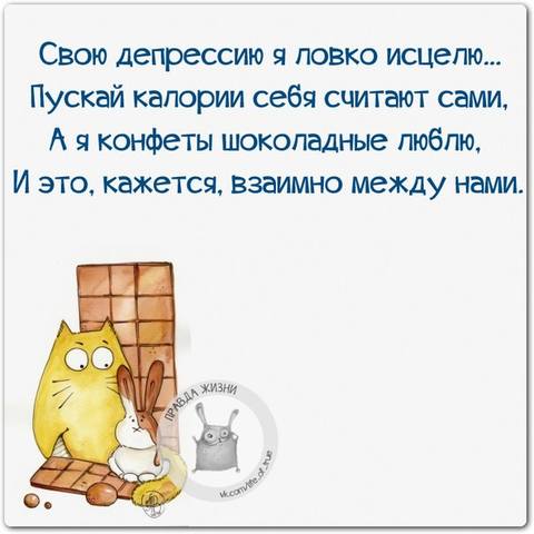 VFL.RU -  
