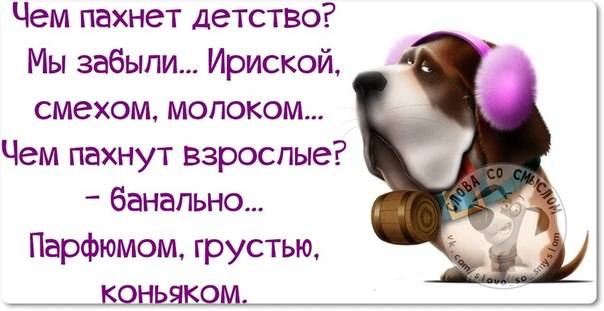 VFL.RU -  