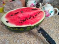 VFL.RU - ваш фотохостинг