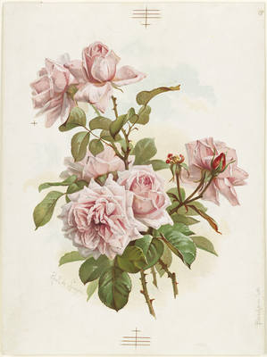 36227584_m.jpg