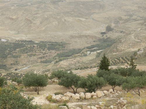 36231297_m.jpg