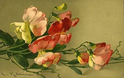 36231904_m.jpg