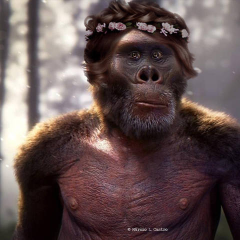 VFL.RU - ваш фотохостинг