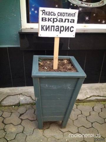 VFL.RU -  