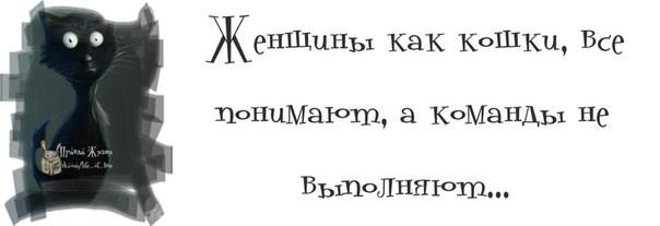 VFL.RU -  
