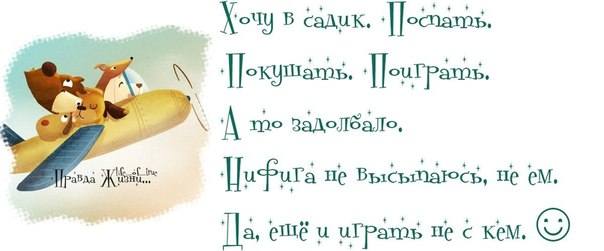 VFL.RU -  