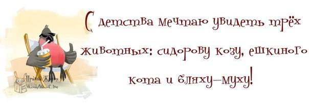 VFL.RU -  