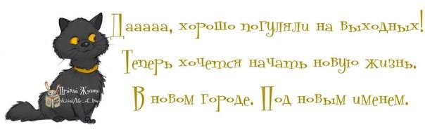 VFL.RU -  
