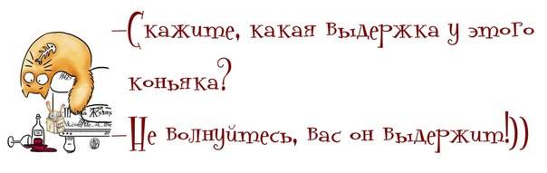 VFL.RU -  
