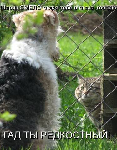 VFL.RU -  