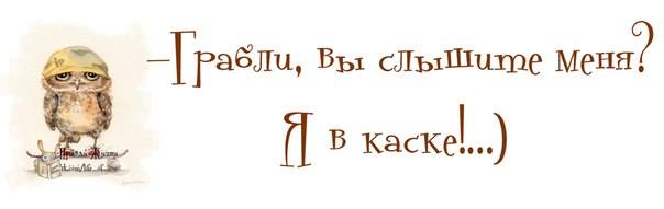 VFL.RU -  
