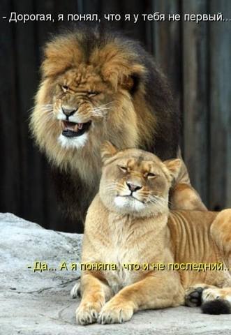 VFL.RU -  