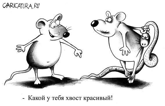 radionetplus ru zab jivnost13