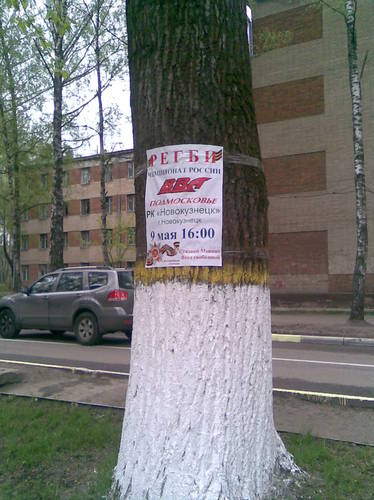 36266108_m.jpg