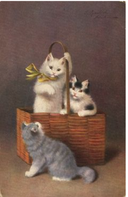 36271969_m.png