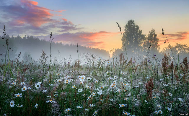 VFL.RU - ваш фотохостинг VFL.RU - ваш фотохостинг