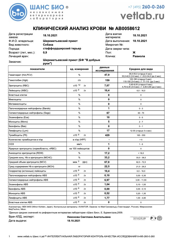 равиоли