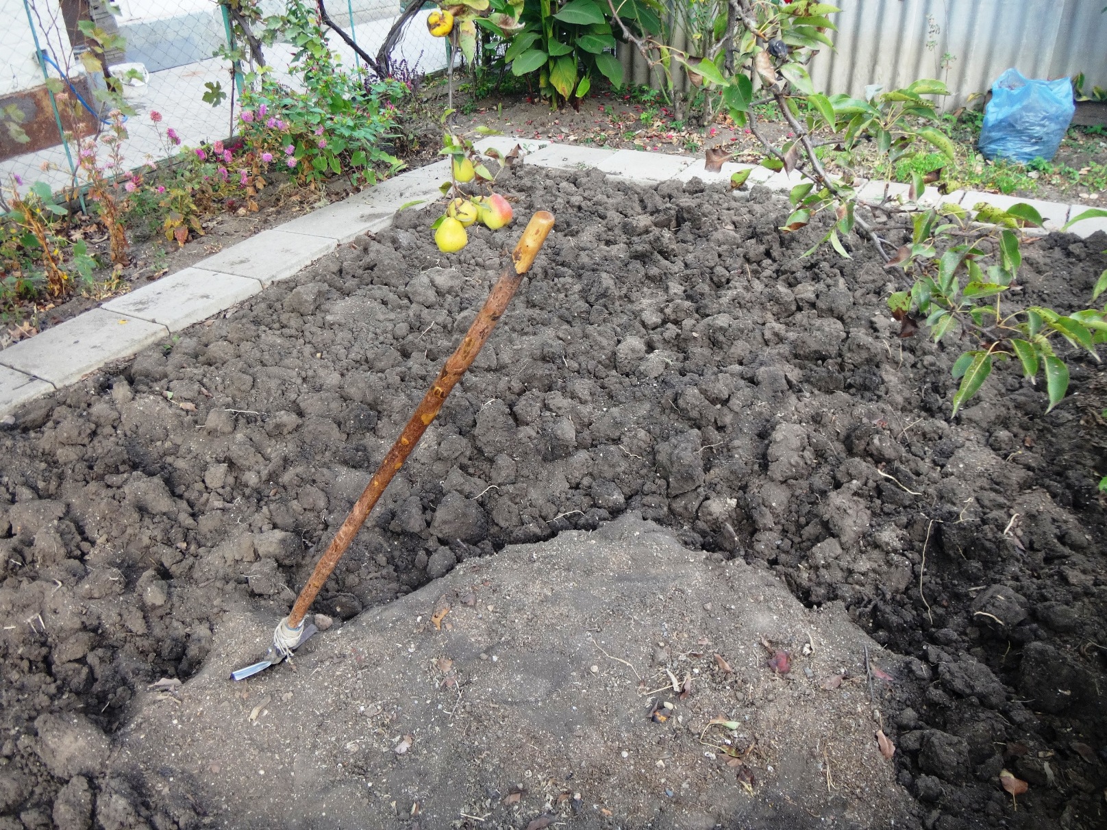 Дачный мотив... Из приключений штыковой лопаты (25)