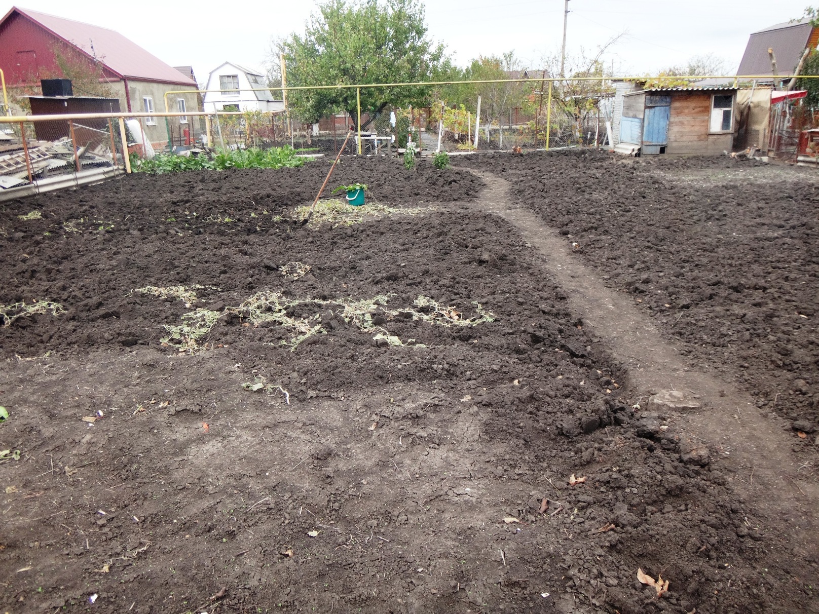 Дачный мотив... Из приключений штыковой лопаты (44)