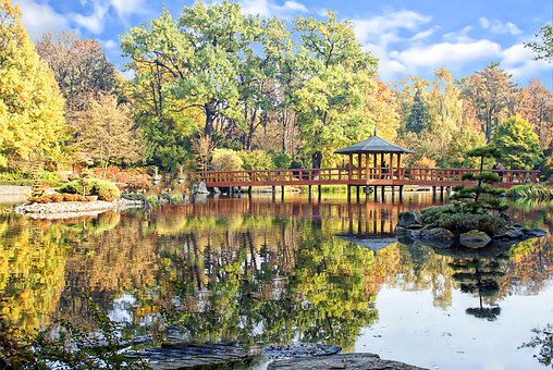 Japanese Style Garden