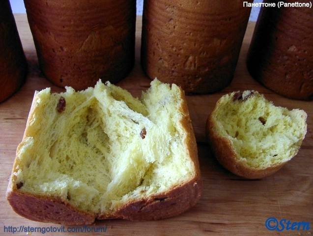 K8c Панеттоне (Panettone)