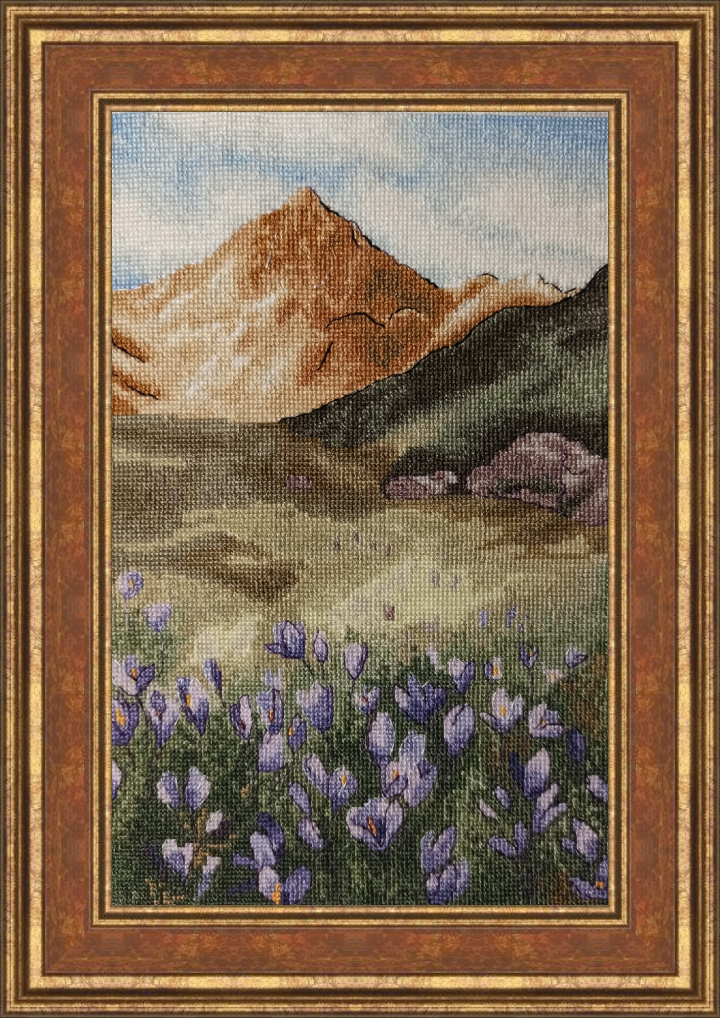 img (7)