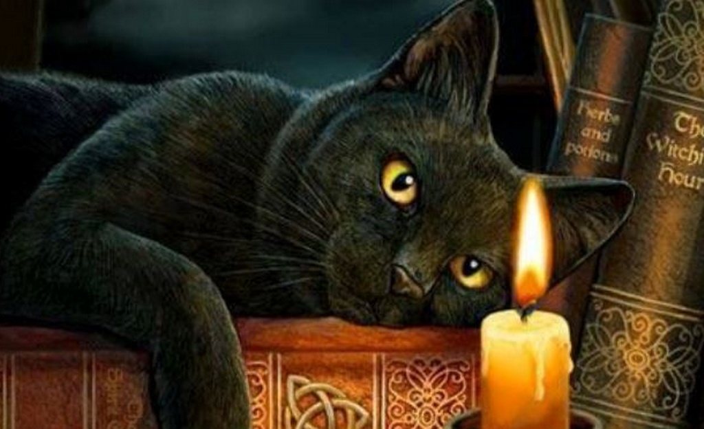 Байка на ночь: Мальчик, темная комната, черная кошка... 