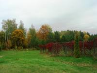 VFL.RU - ваш фотохостинг