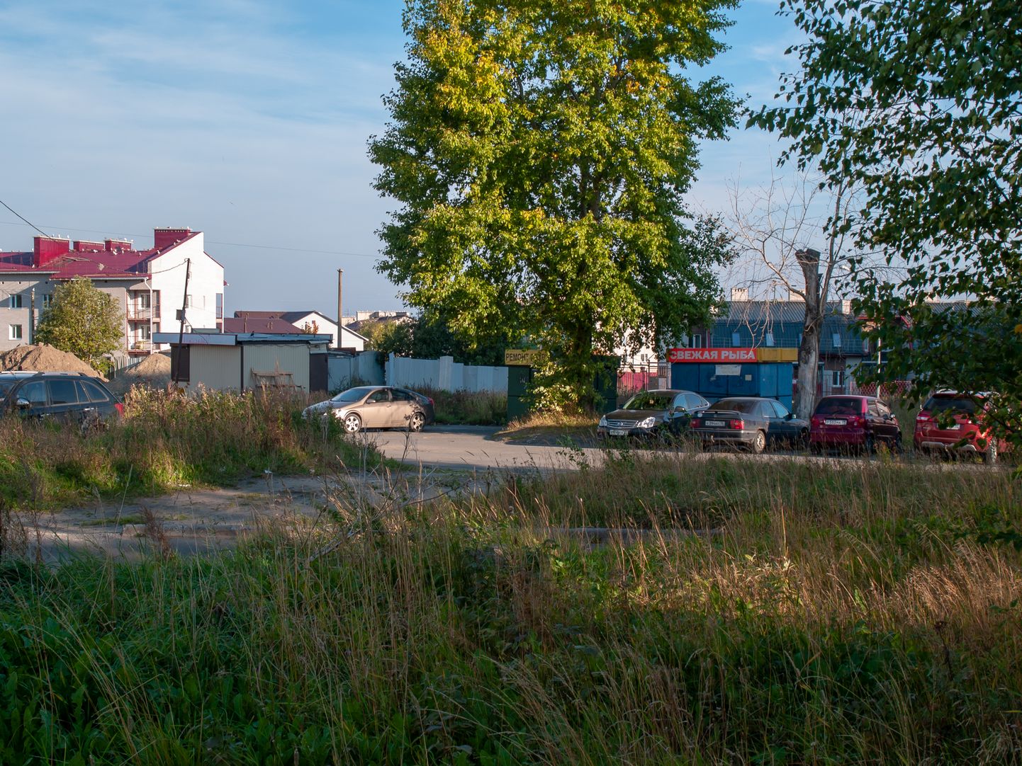 Petrozavodsk.thence5.1920 (216)