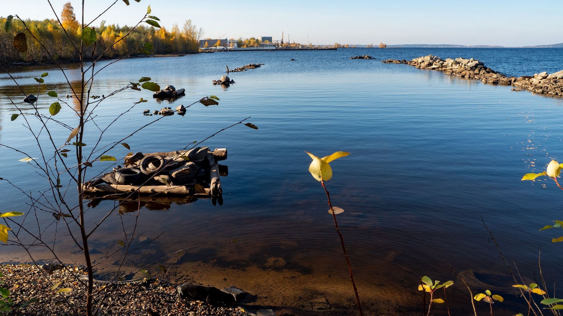 Petrozavodsk.thence5.1920 (259)