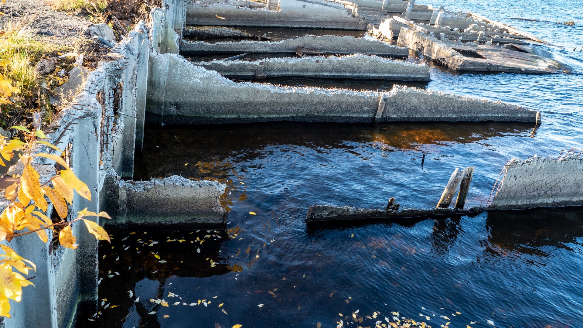 Petrozavodsk.thence5.1920 (257)