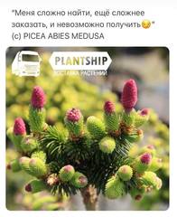 tjNhobhZAfo