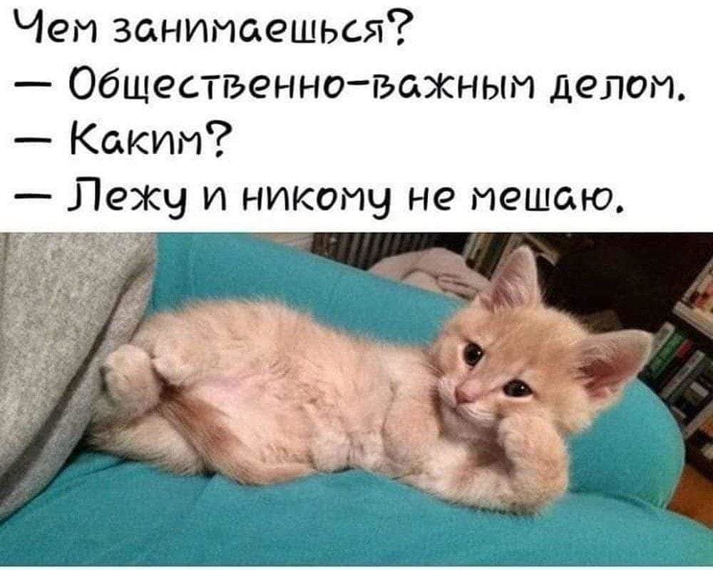 Чем занимаешься картинки мужчине