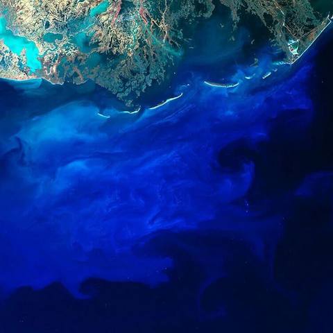 Голубой ил в месте впадения реки Миссиссипи в Мексиканский залив