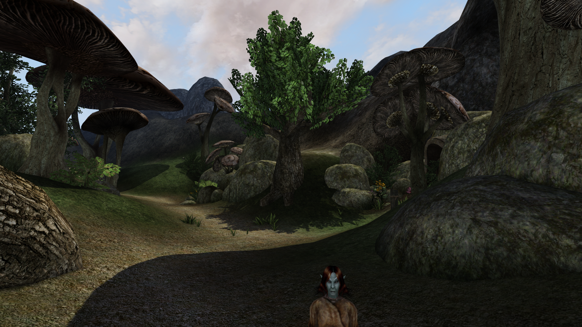 Morrowind Antuan de Filyolagus 0015