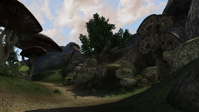 Morrowind Antuan de Filyolagus 0014