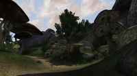 Morrowind Antuan de Filyolagus 0014